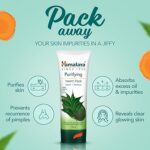 Himalaya Herbals Purifying Neem Pack, 100g