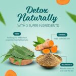 Himalaya Herbals Purifying Neem Pack, 100g