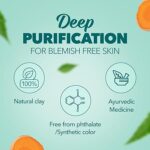 Himalaya Herbals Purifying Neem Pack, 100g