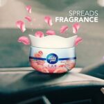 Ambi Pur Car Freshener Gel, Romantic Rose, 75 g