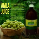 Patanjali Amla Juice, 500 ml Bottle
