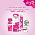 CLEAN & DRY| Daily intimate wash| Hygiene Wash for Women, Vaginal Wash, Smooths Skin | Anti-Bacterial and prevents infections | Restores pH Balanace| No itching, Burning, white Discharge| 190ml