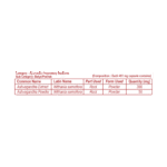 Patanjali Ashvagandha Capsule
